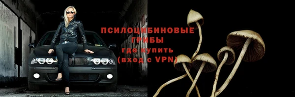 шишки Алзамай