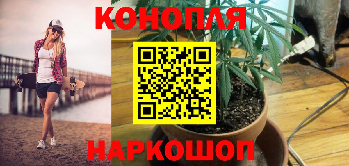 Бошки Шишки семена  МАРИХУАНА гибрид  Марихуана ГИДРОПОН  Южноуральск  Каннабис семена  Вход с VPN 